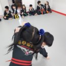 흑추관 합기도 이미지