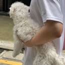 몽실몽실살롱 이미지