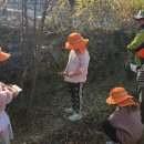 원천초등학교병설유치원 이미지