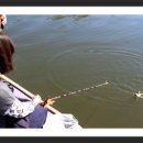 그늘막76 이미지