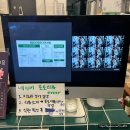 전통나래관 앞 | [대전]소제동 카페추천 분위기 좋은 한옥 케이크맛집 "미도리컬러" ft.고양이