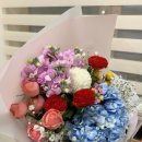 늘푸르미 이미지