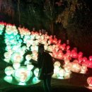 황제피라미드불한증막 이미지