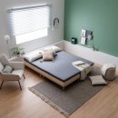 레이디폼 이미지