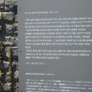 제주 성읍마을 이미지
