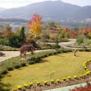 수목원레저 이미지