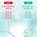 제이엔에스 | 크림 추천ㅣPV더마레시피 으로 피부 탄력채우기리쥬엔엠엔 리페어 크림ㅣ탄력크림 내 돈 내산 만족 후기