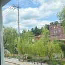 수원-0854 이미지