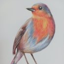 색연필 드로잉화 이미지