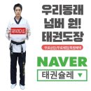 태권 슐레 이미지
