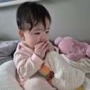 조물조물 책끝손끝 책놀이 | 7~9개월 아기 촉감놀이 추천 장난감 5가지 사용후기