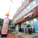 복이애견샵 네이버블로그