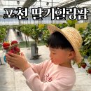힐링사랑침대 | 포천딸기힐링팜 방문기 | 6살 아이와 딸기 따기 체험 솔직 후기