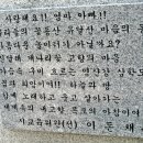 목포의 눈물 노래비 이미지