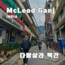 인도여행 뉴델리에서 다람살라 맥레오드간즈 이동, 북인도 여행지추천