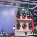 다담허브 이미지