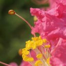 창신 공인중개사사무소 이미지