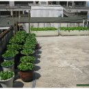 미니농장 이미지