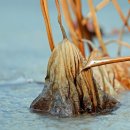 연민농장 이미지