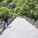 호텔펠리시아 이미지