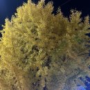 동성로할매부대찌개 이미지