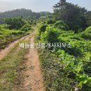 호동리 이미지