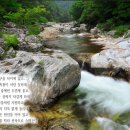 월정사 계곡물에 몸을 담근 세조 문수보살 가피로 피부병 치료!! 이미지