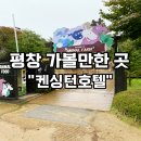 평창 켄싱턴호텔 키즈 애니멀팜 동물가든 부대시설 호캉스 솔직후기 강원도 대관령 가볼만한곳