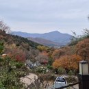 포레스트벨리캠프 이미지