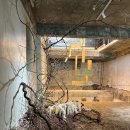 현대대중목욕탕 | 서울 전시회 후기 필리아 갤러리 금호 알베르에 <Human After All>보러 다녀왔어요.