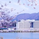 소노벨 경주 사우나 네이버블로그