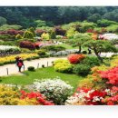 웰니스9 이미지