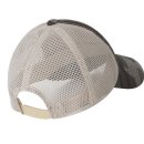 캣 소사이어티 이미지