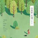 고요한 시선 이미지