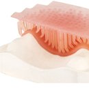 지앤피치과기공소 이미지