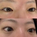 온정 에스테틱 | [대전 괴정동 메이크업_해온정]속눈썹펌 하러 갔다가 메이크업도 받고 사주도 보고 타로도 볼 수 있는데...