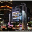 피지오숲 이미지