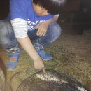 고골낚시터 이미지