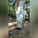 초록산산림욕장 이미지