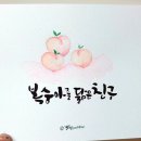 수채 담은, 붓 캘리그라피 이미지