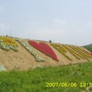 파주출판단지 들꽃축제에서.... 이미지