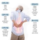운정채한의원 네이버블로그