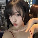 비비컷 이미지