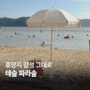 테슬 파라솔 추천, 실내외 모두 활용 가능한 감성 파라솔 후기