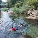 제 303차 능선산악회 만수봉산행(26/06/21) 이미지