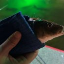 신촌낚시터 화장실 이미지