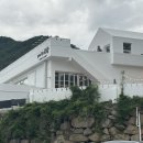 까페사랑 | 🌳 양산 감성 카페 추천 | ‘느티나무의 사랑카페’ 가족 나들이 후기 (ft. 부모님도 MZ 인증?)