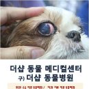 더샵동물메디컬센터 이미지