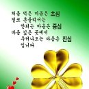 초심 이미지