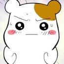 성문자동차 이미지